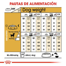 Cargar imagen en el visor de la galería, Royal Canin Adult Chihuahua
